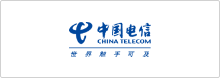 中國電信_(tái)語言橋翻譯合作案例